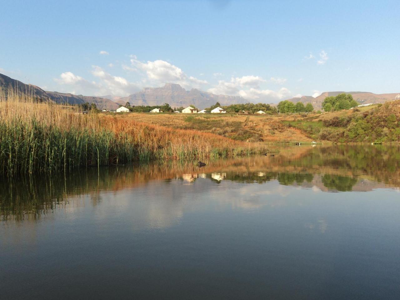 Wits End Mountain Resort Champagne Valley Dış mekan fotoğraf